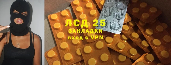 хмурый Арсеньев