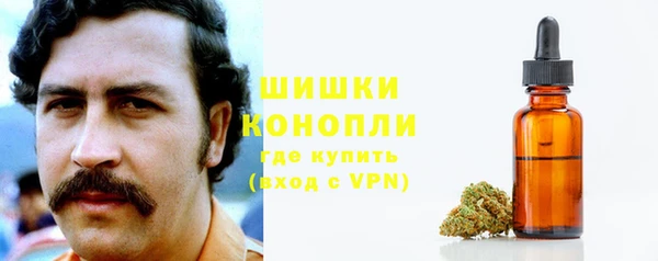 ПСИЛОЦИБИНОВЫЕ ГРИБЫ Армянск