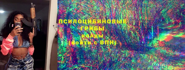 хмурый Арсеньев