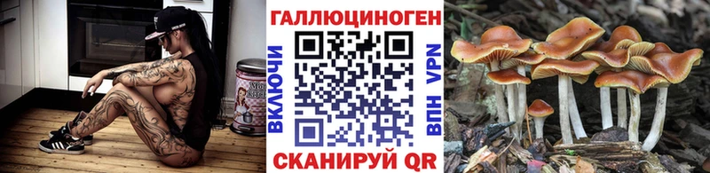 Псилоцибиновые грибы Psilocybe Североморск
